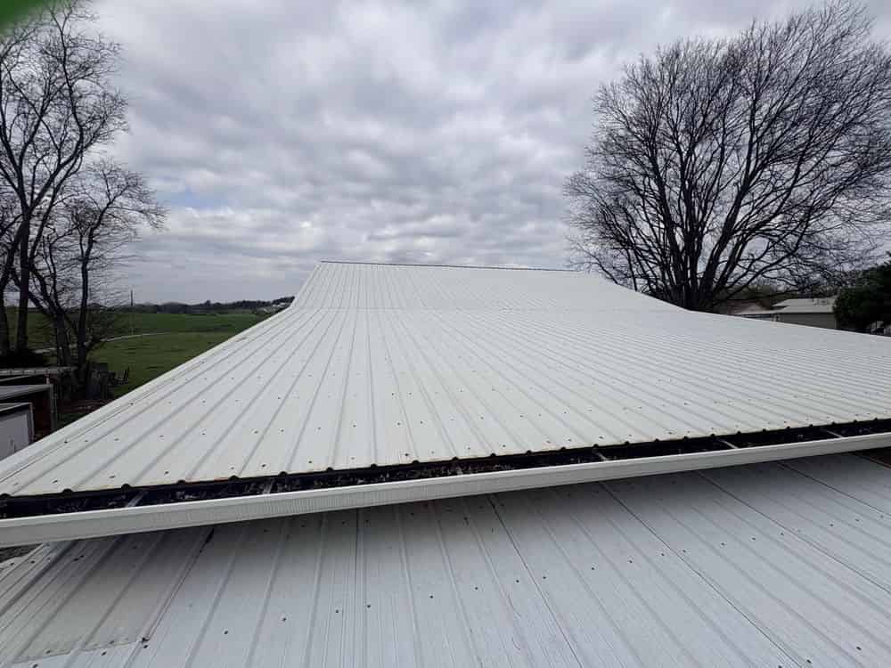 Roof Cleaning image