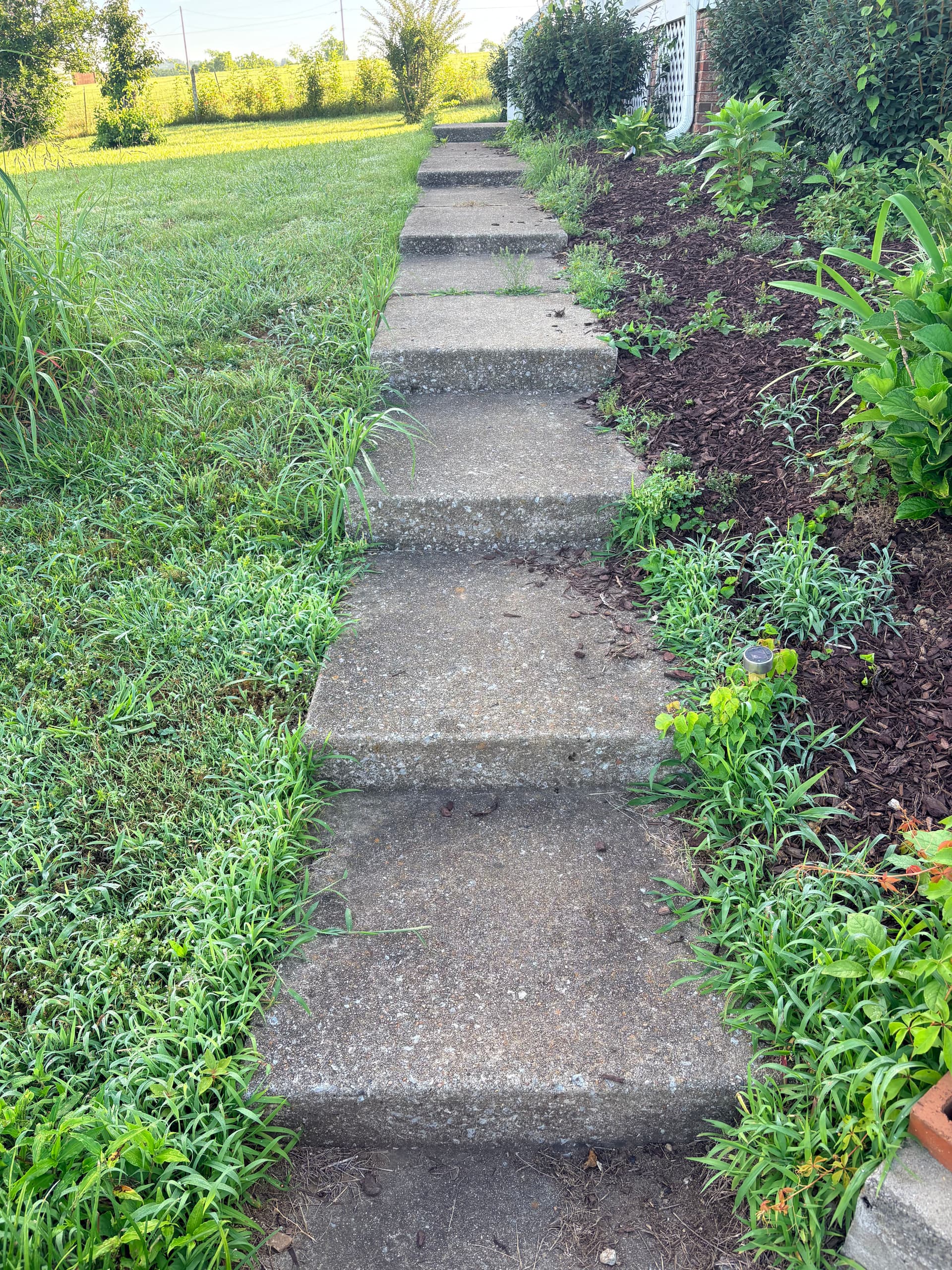 Concrete Walkway and Step Cleaning in Columbia TN image